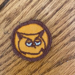 Vintage 70’s owl brownies patch